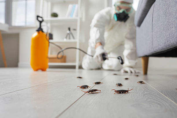 Trusted Cockroach Control service in Schiller Park, IL - Nex Pest Control