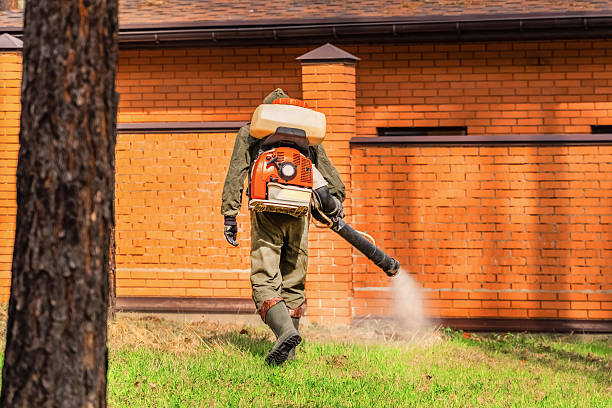 Trusted Termite Control service in Schiller Park, IL - Nex Pest Control